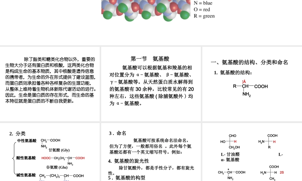 第16章 氨基酸、蛋白质和核酸.ppt