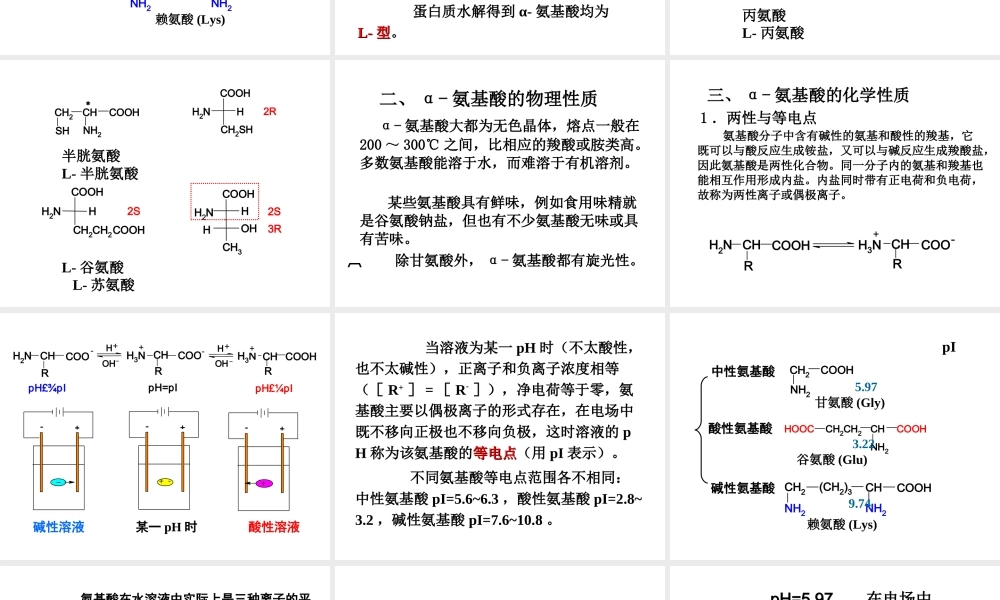 第16章 氨基酸、蛋白质和核酸.ppt
