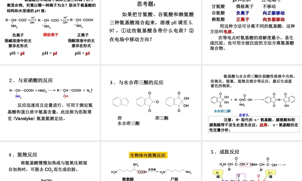第16章 氨基酸、蛋白质和核酸.ppt