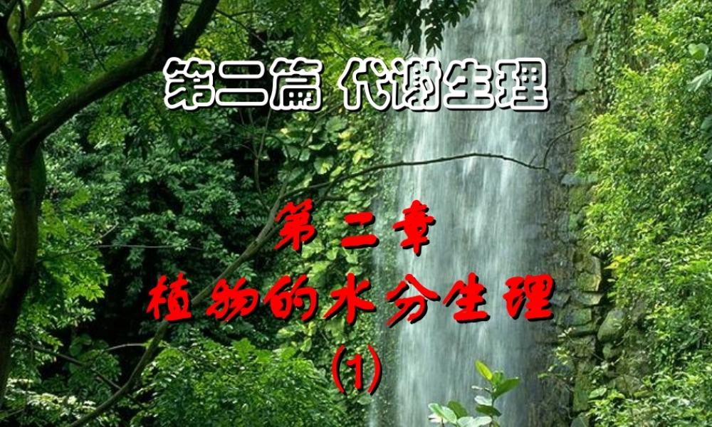 第二章 植物的水分生理2009(1).ppt