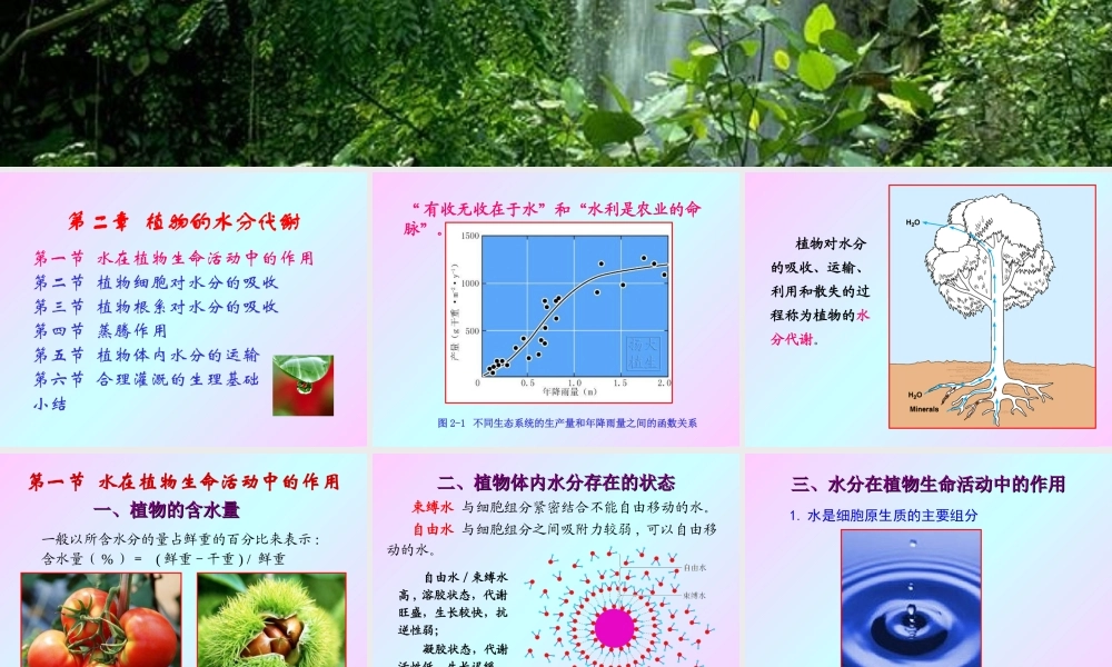 第二章 植物的水分生理2009(1).ppt