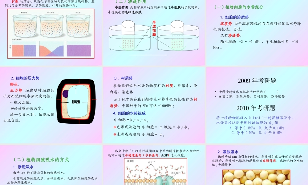 第二章 植物的水分生理2009(1).ppt