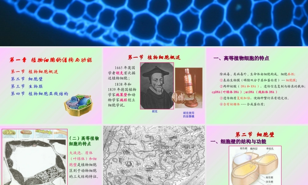 第一章 植物细胞的结构和功能.ppt
