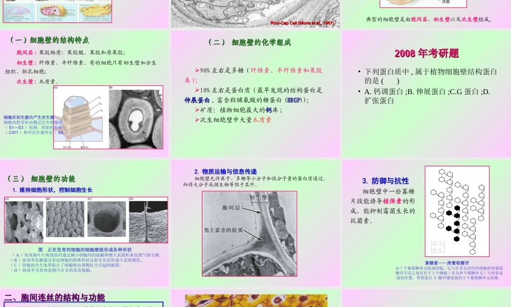 第一章 植物细胞的结构和功能.ppt