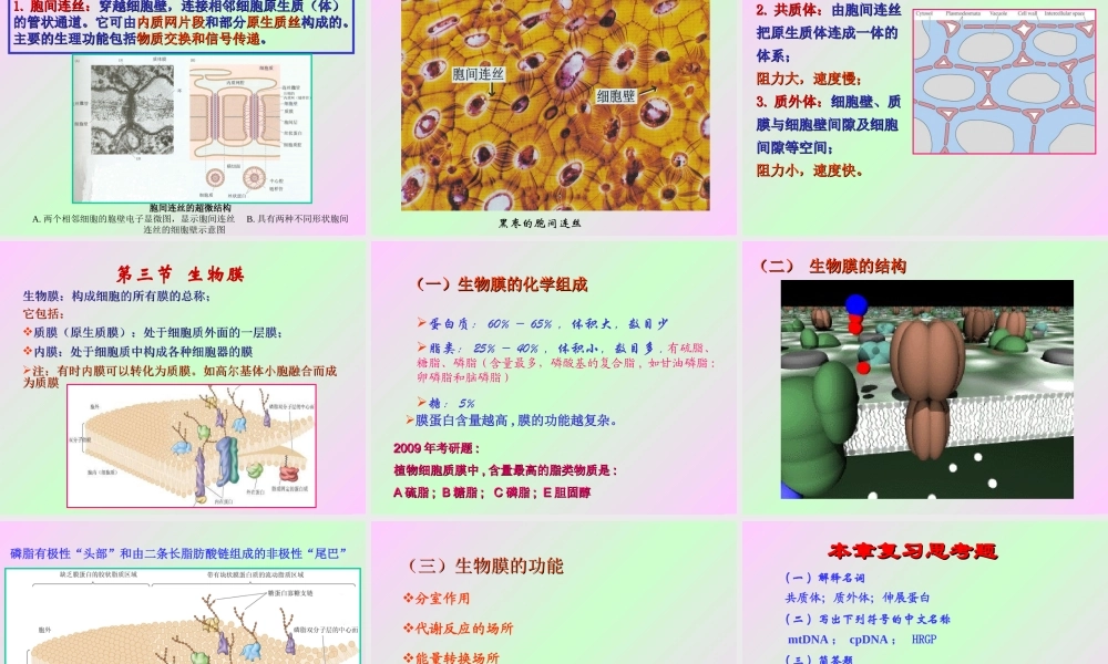 第一章 植物细胞的结构和功能.ppt