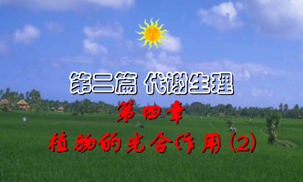 第四章 植物的光合作用2009-(2).PPT