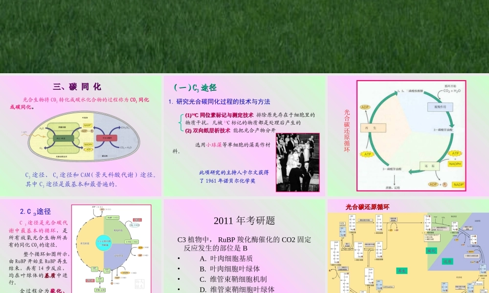 第四章 植物的光合作用2009-(2).PPT