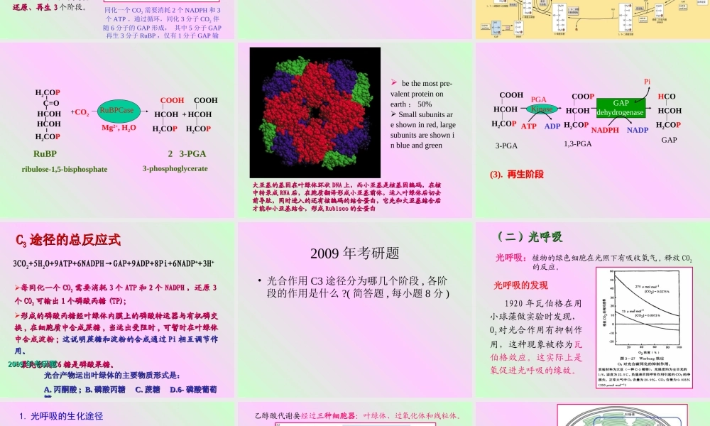 第四章 植物的光合作用2009-(2).PPT