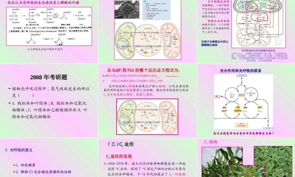 第四章 植物的光合作用2009-(2).PPT