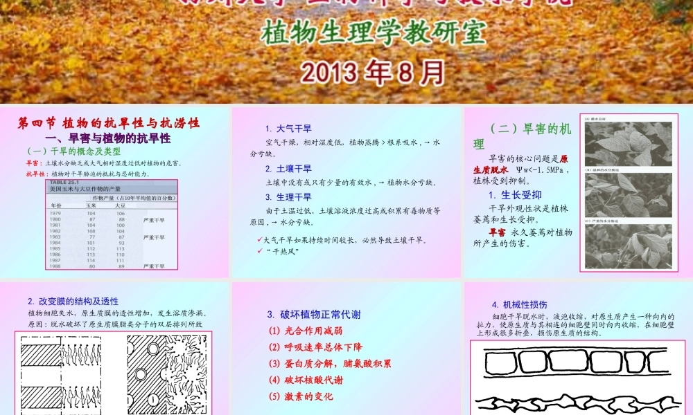 第十三章 植物的抗逆生理2009(2)s.PPT