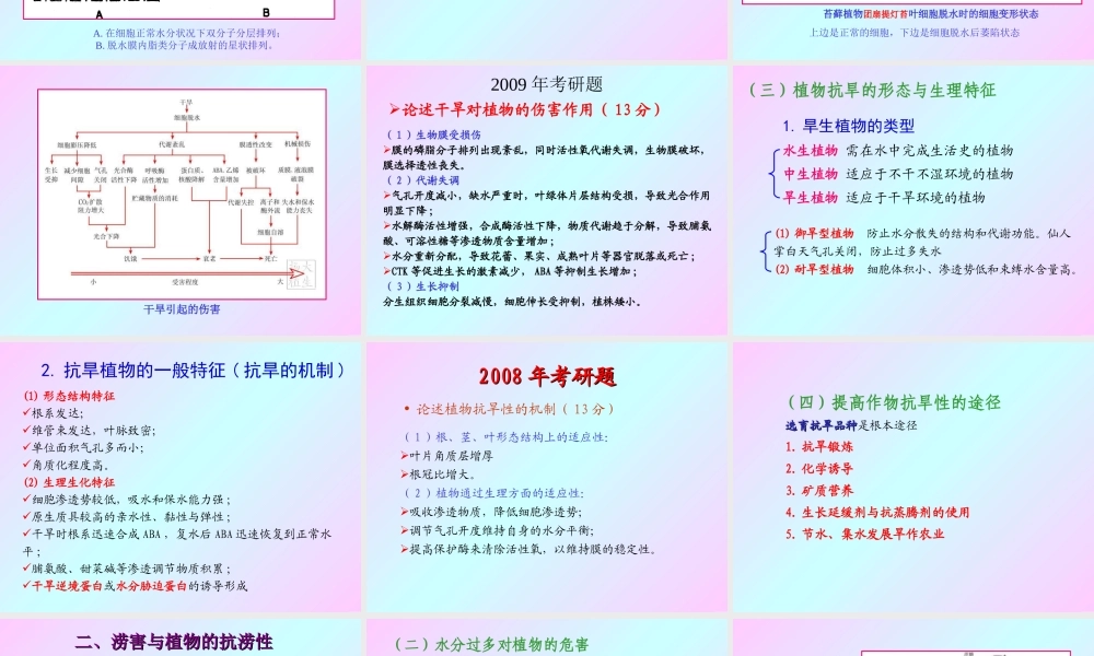 第十三章 植物的抗逆生理2009(2)s.PPT