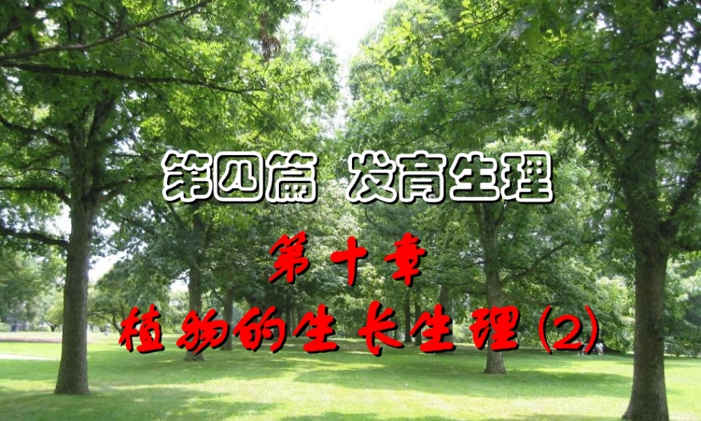 第十章 植物的生长生理2009(2)s.ppt