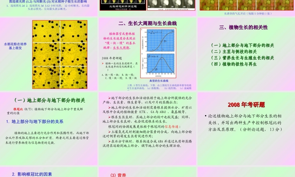 第十章 植物的生长生理2009(2)s.ppt