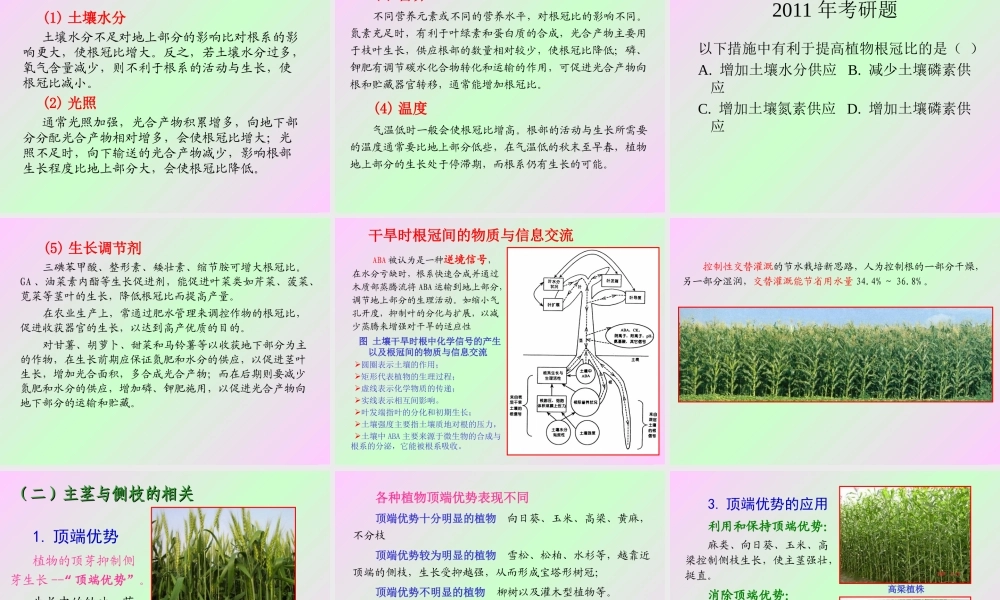 第十章 植物的生长生理2009(2)s.ppt