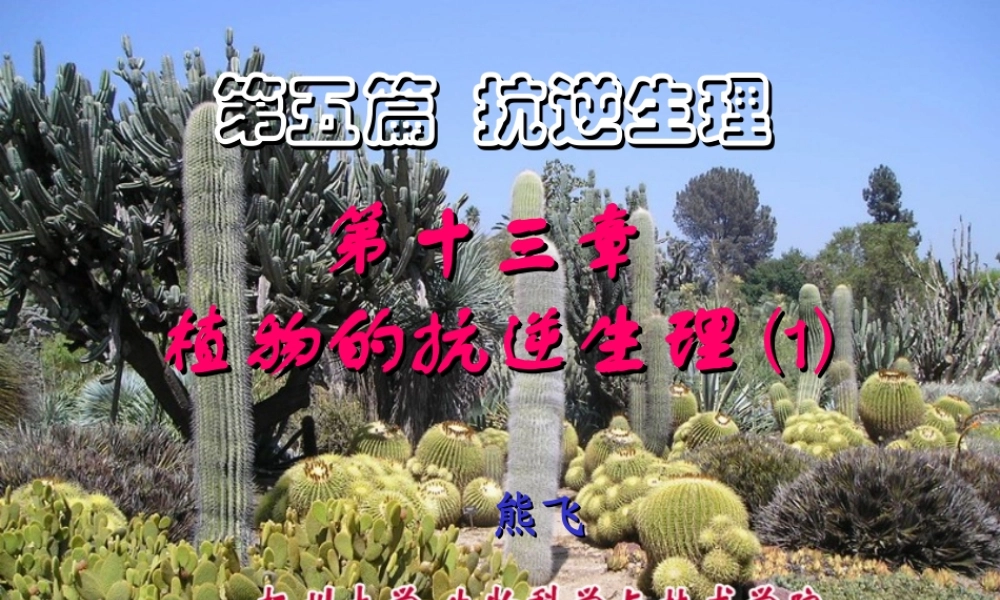 第十三章 植物的抗逆生理2009(1)s.PPT