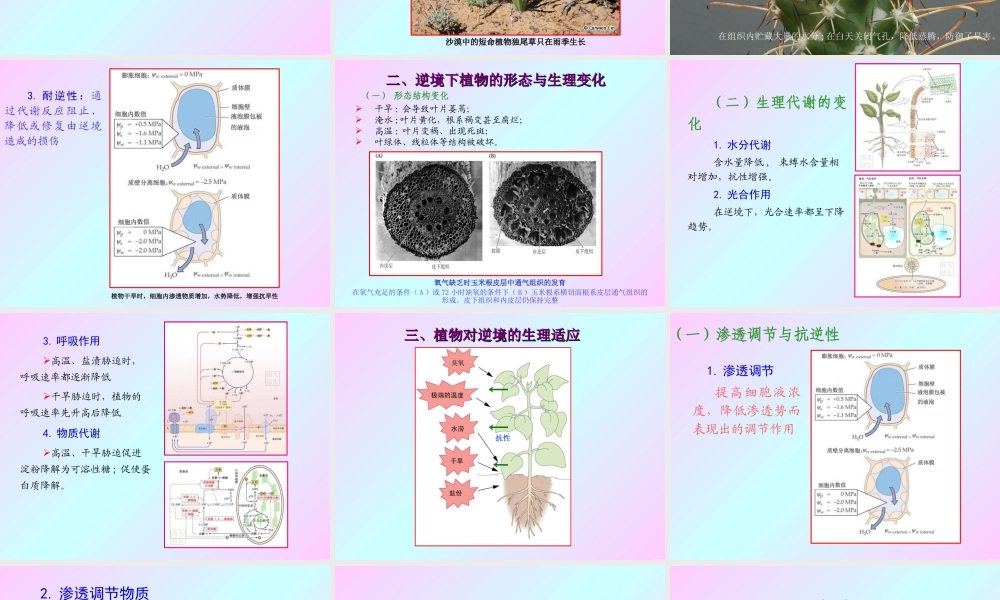 第十三章 植物的抗逆生理2009(1)s.PPT