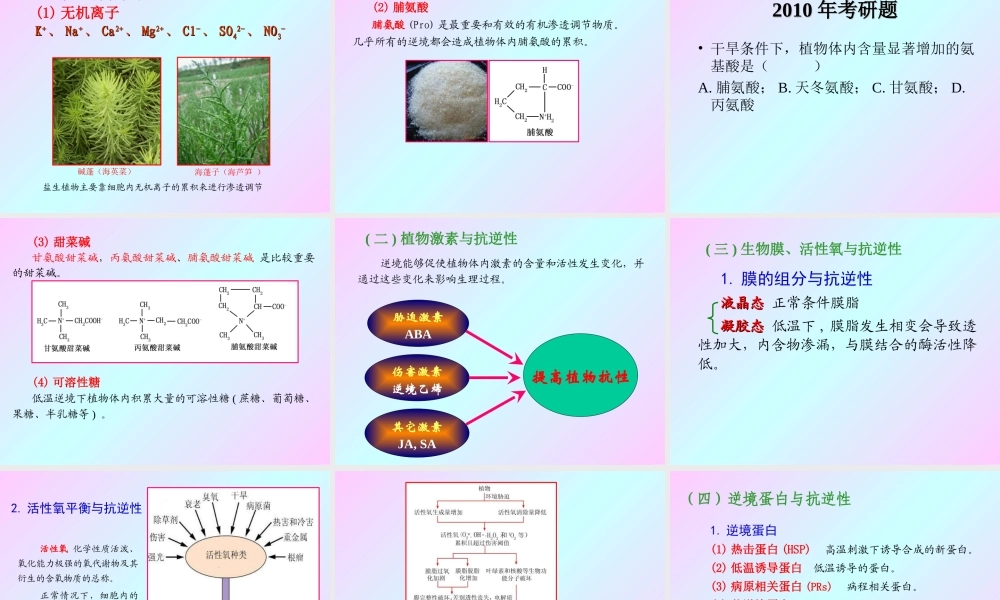 第十三章 植物的抗逆生理2009(1)s.PPT
