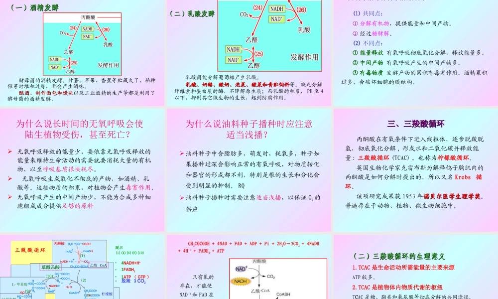 第五章 植物的呼吸作用2009(1)s.ppt