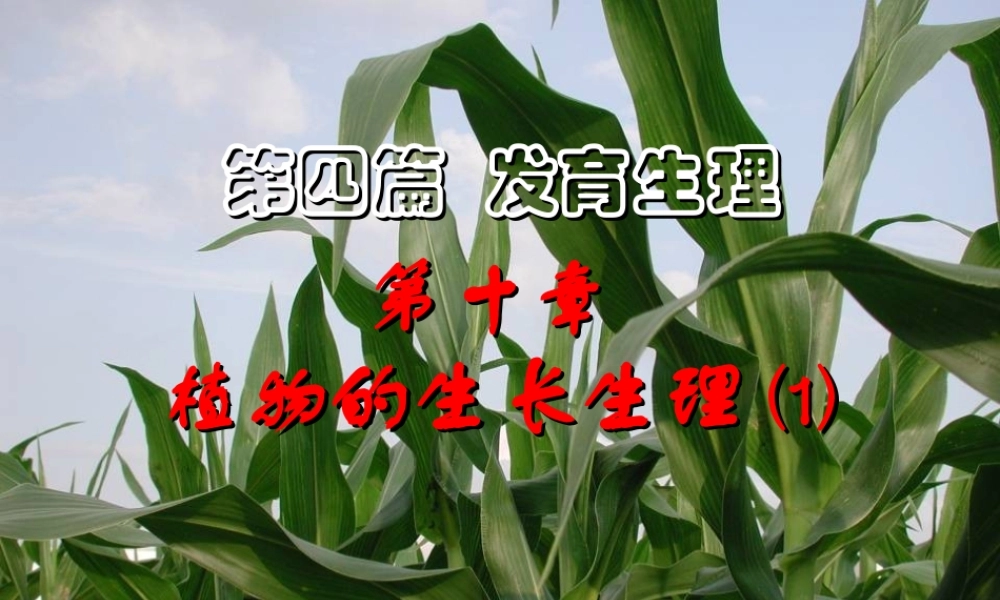 第十章 植物的生长生理2009(1)s.ppt