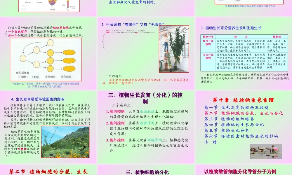 第十章 植物的生长生理2009(1)s.ppt