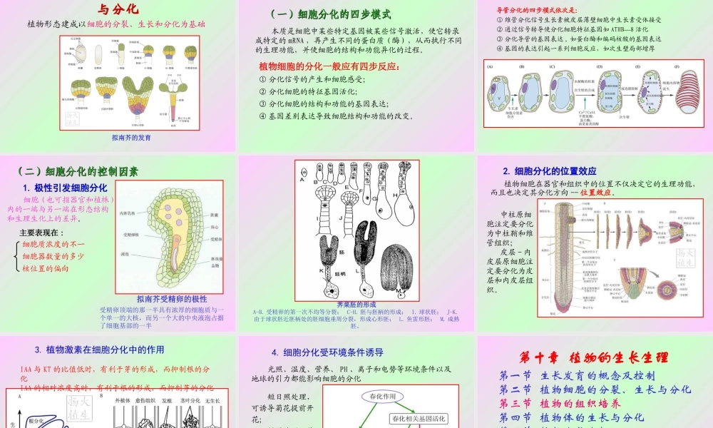 第十章 植物的生长生理2009(1)s.ppt