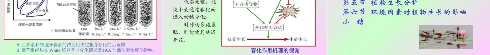 第十章 植物的生长生理2009(1)s.ppt