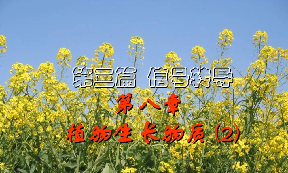 第八章 植物生长物质2009(2)s.PPT