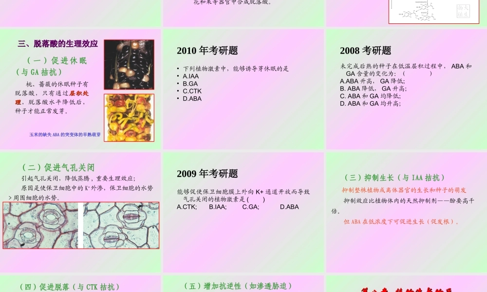 第八章 植物生长物质2009(2)s.PPT