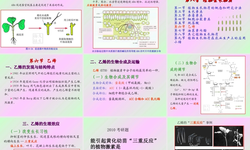 第八章 植物生长物质2009(2)s.PPT