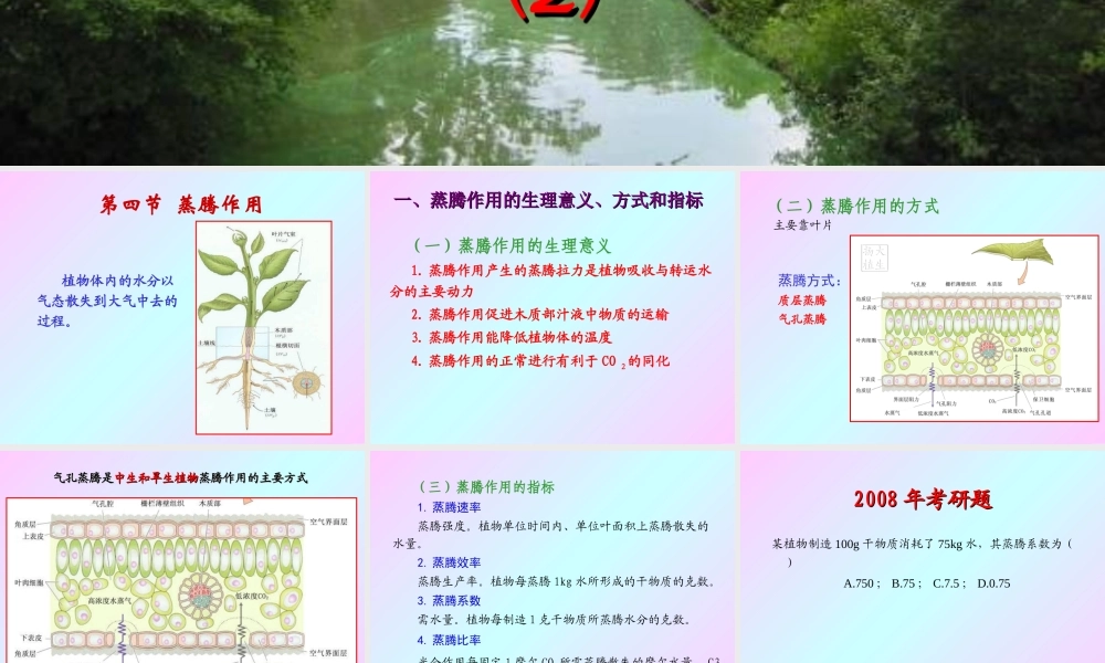 第二章 植物的水分生理2009(2).ppt