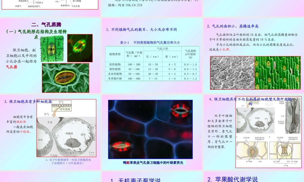 第二章 植物的水分生理2009(2).ppt