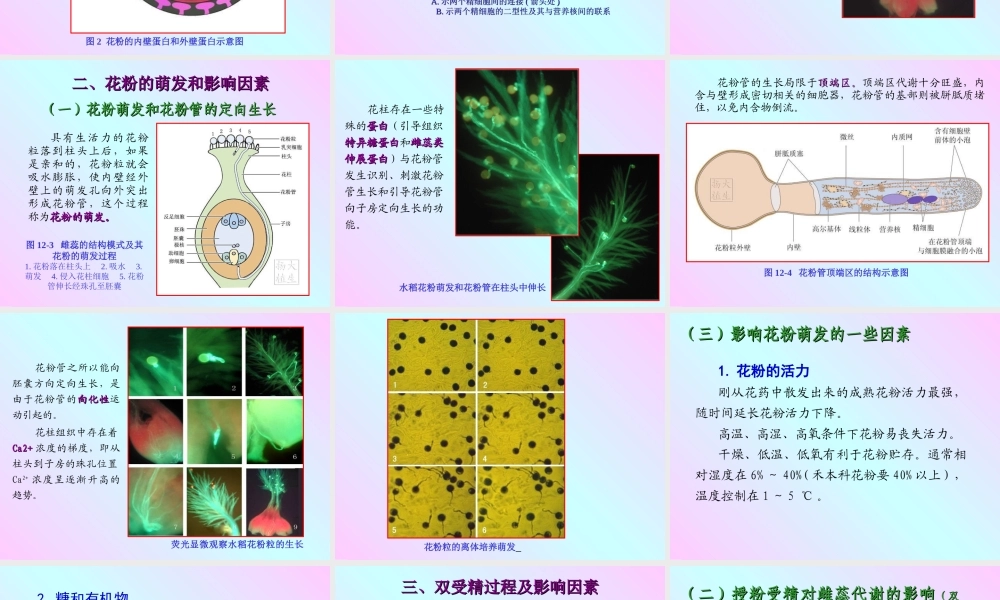 第十二章 植物的生殖和衰老2009(1)s.PPT