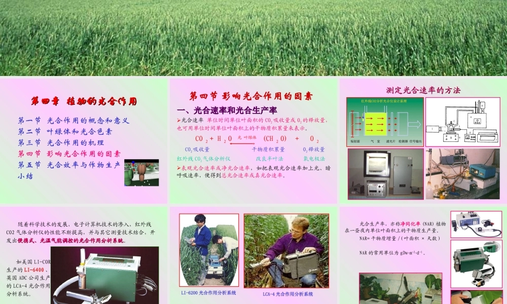 第四章 植物的光合作用2009-(3).ppt