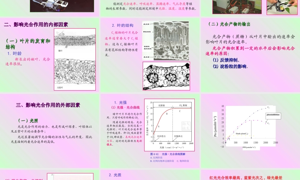 第四章 植物的光合作用2009-(3).ppt