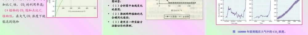 第四章 植物的光合作用2009-(3).ppt