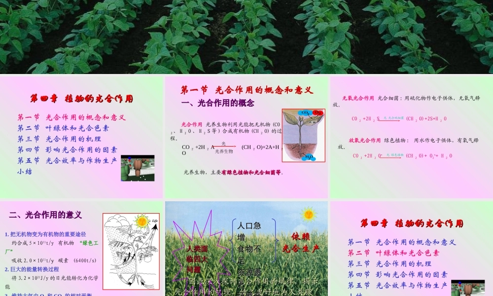 第四章 植物的光合作用2009-(1).ppt