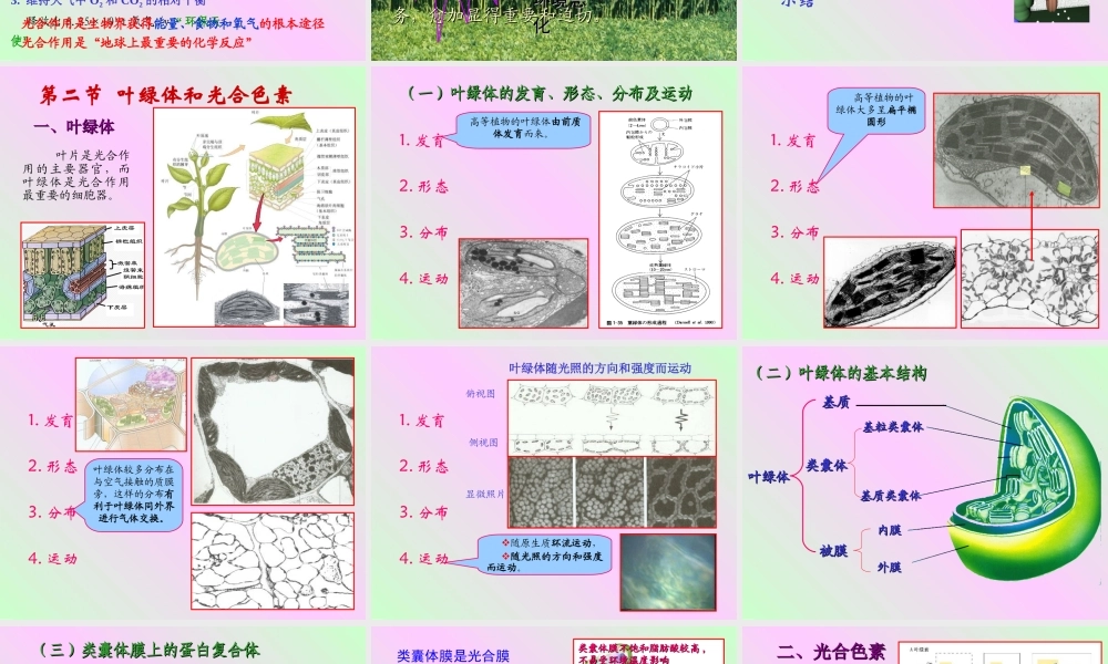 第四章 植物的光合作用2009-(1).ppt
