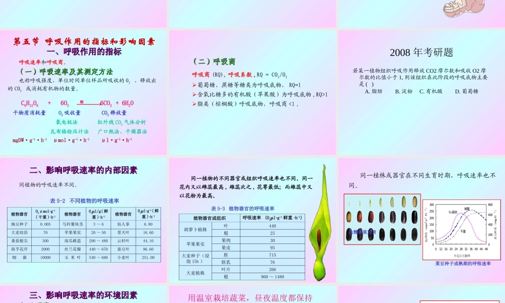 第五章 植物的呼吸作用2009(2)s.ppt