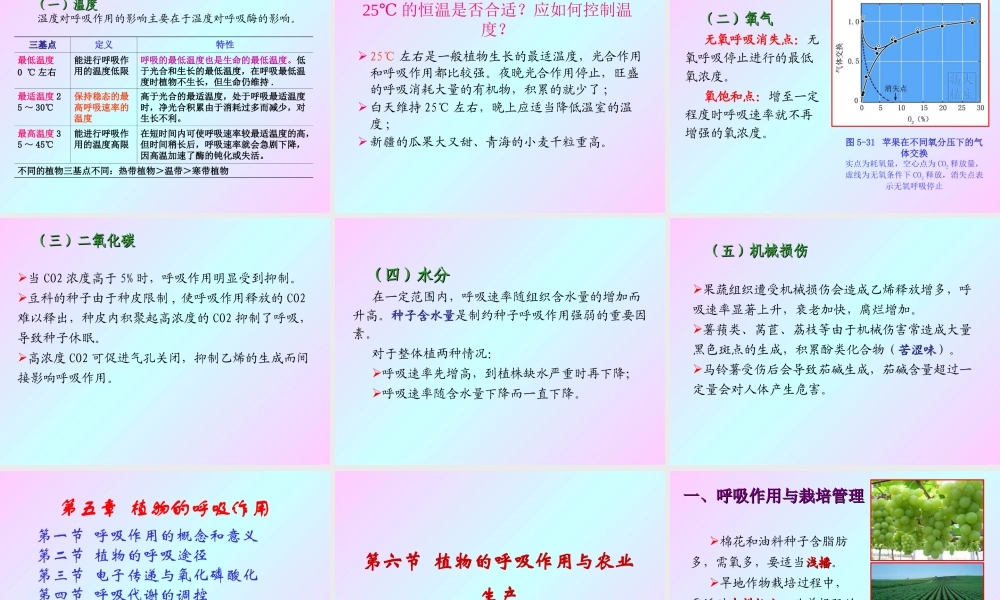 第五章 植物的呼吸作用2009(2)s.ppt