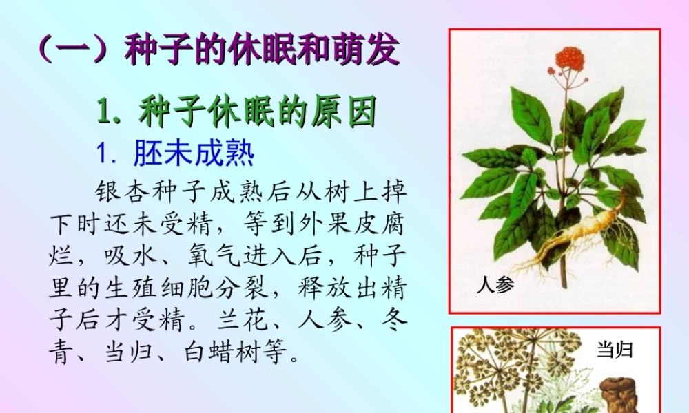 十一、植物的休眠、成熟和衰老生理.PPT