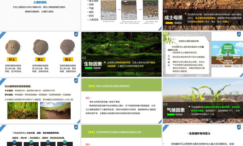 2024年高考地理一轮复习（新人教版） 第1部分第6章 第1讲 课时36　土壤.pptx