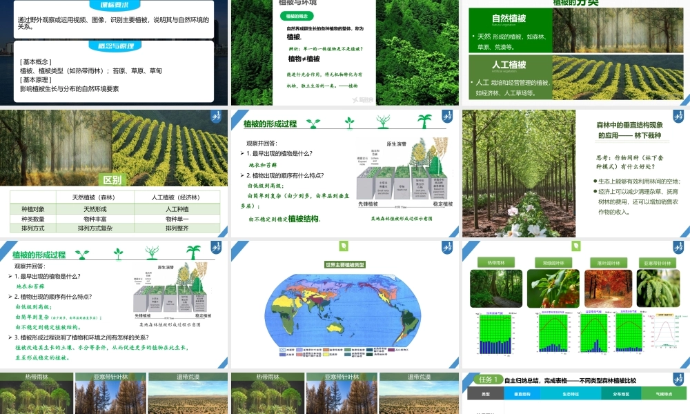 2024年高考地理一轮复习（新人教版） 第1部分第6章 第1讲 课时35　植被.pptx