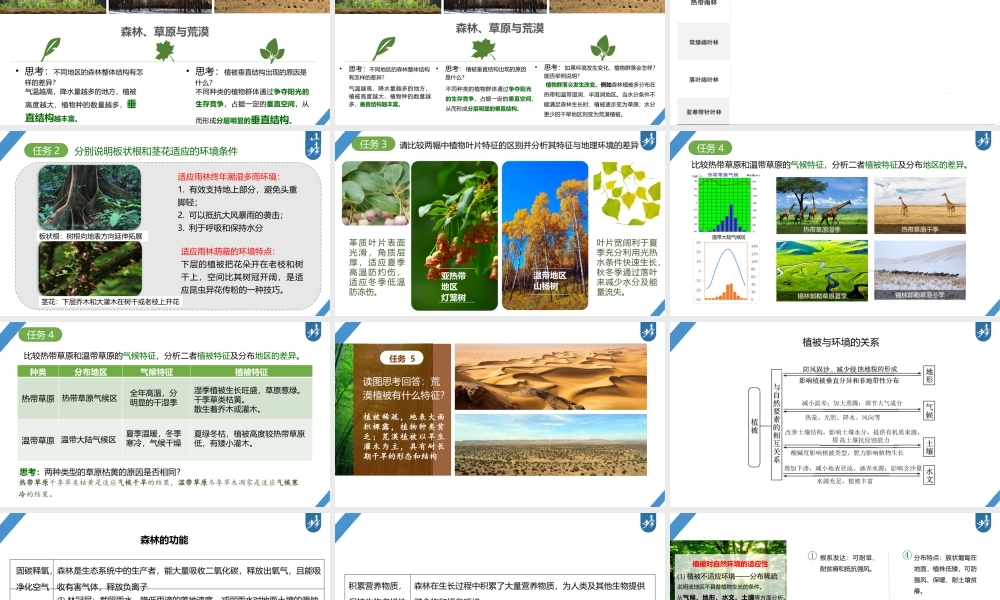 2024年高考地理一轮复习（新人教版） 第1部分第6章 第1讲 课时35　植被.pptx