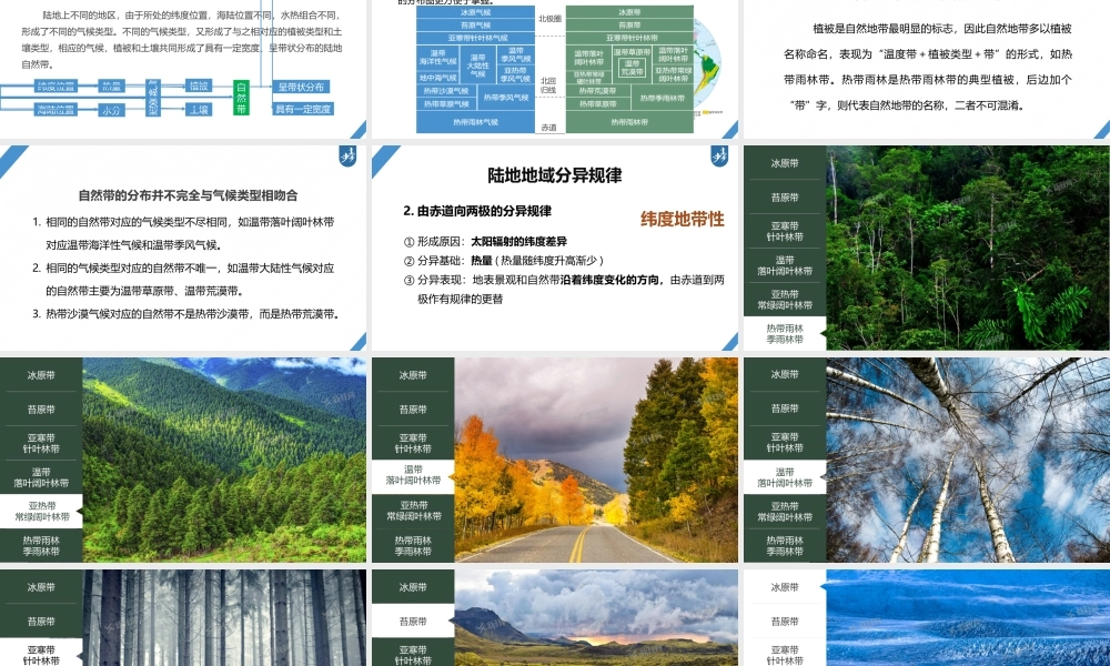 2024年高考地理一轮复习（新人教版） 第1部分第6章 第2讲 课时38　陆地地域分异规律　地方性分异规律.pptx