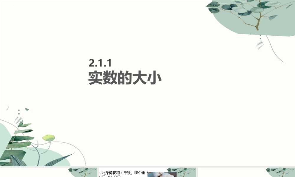 2.1.1实数的大小课件-2023-2024学年高一上学期高教版（2021）中职数学基础模块上册.pptx
