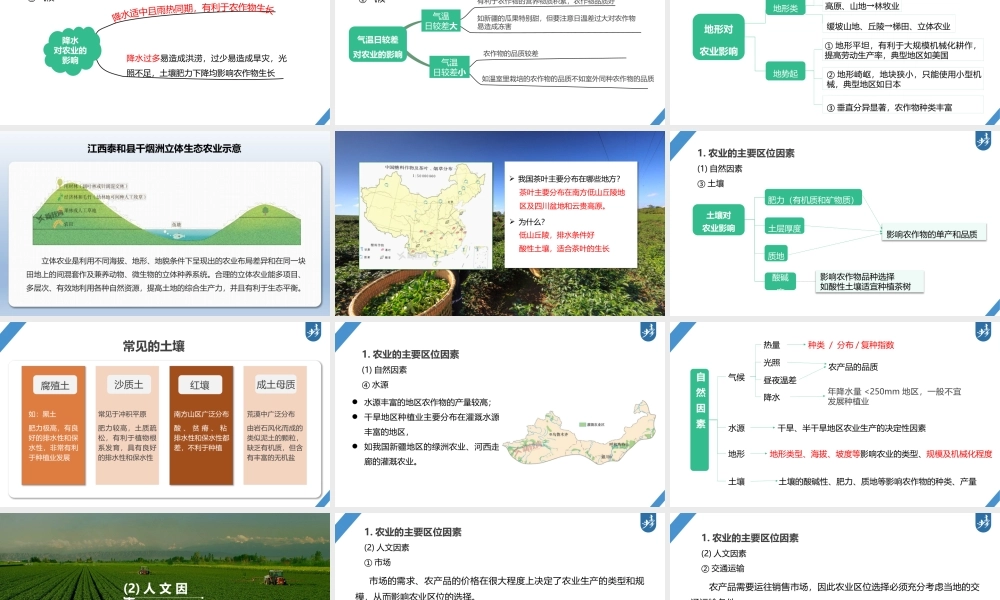 2024年高考地理一轮复习（新人教版） 第2部分　第3章　第1讲　课时48　农业区位因素.pptx
