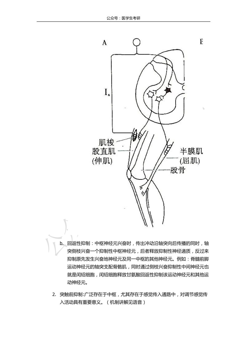 反射活动基本规律&原核基因表达调控&泌尿系肿瘤.pdf_第2页