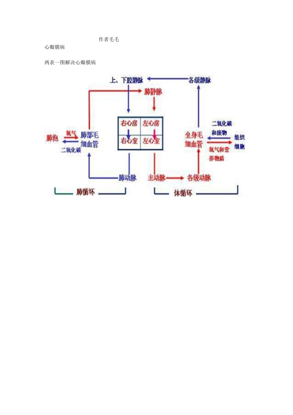 内科学：心瓣膜病&外科学：腹外疝.pdf_第1页