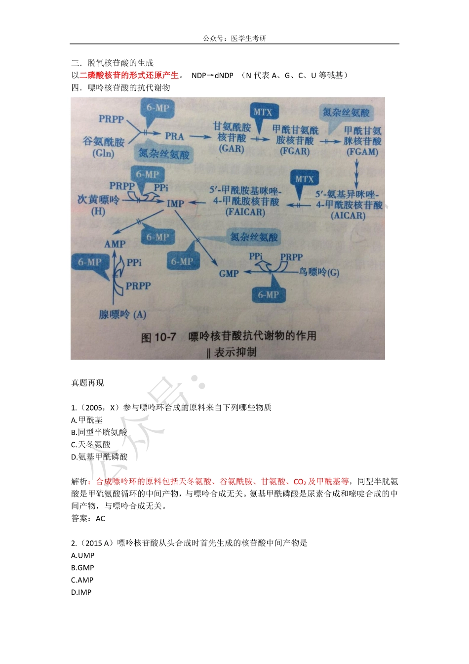 大肠的运动形式&嘌呤核苷酸.pdf_第3页