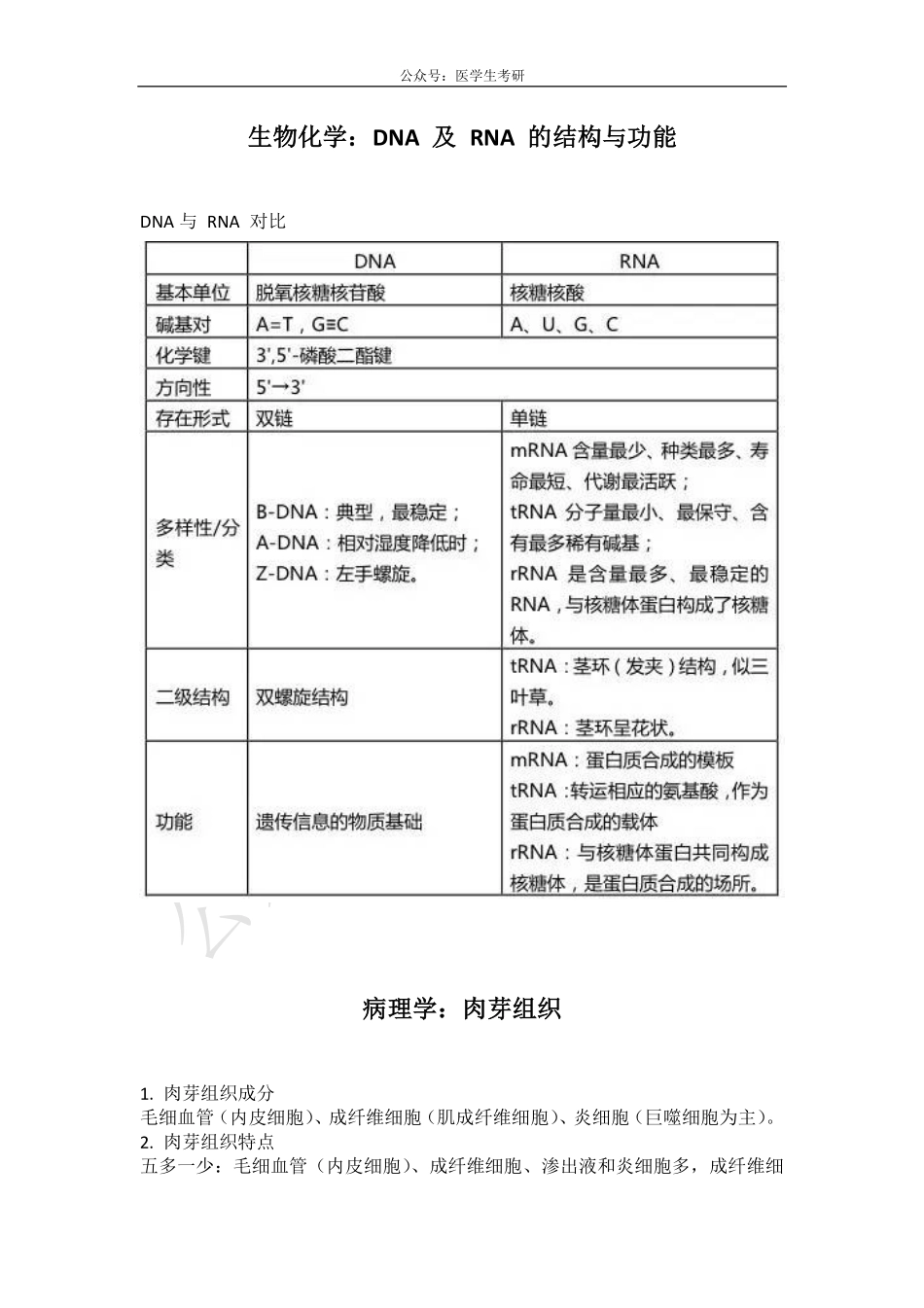 动作电位&DNA与RNA&肉芽组织.pdf_第2页